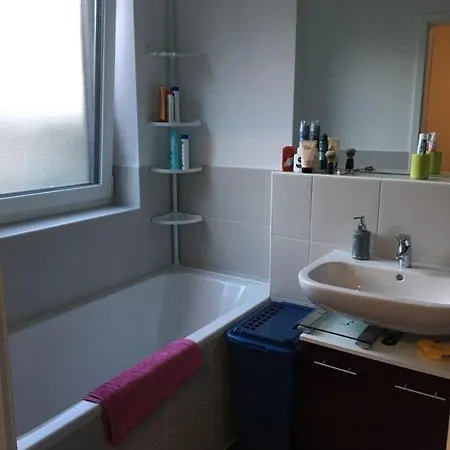 Exklusive Neubau-wohnungen In Bochum-hamme 아파트